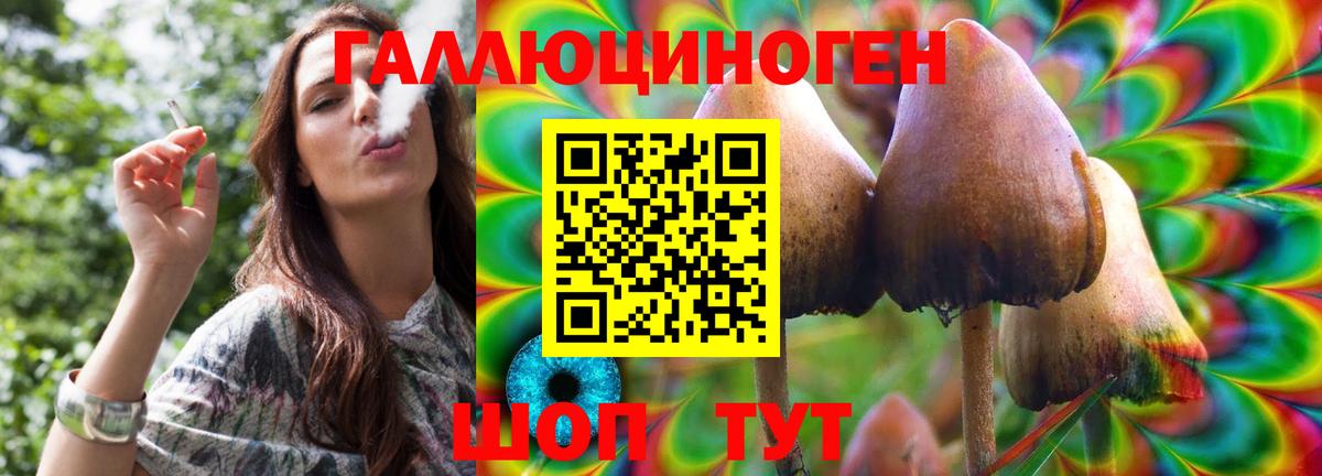Орехово-Зуево  Псилоцибиновые грибы ЛСД  Вход с VPN 